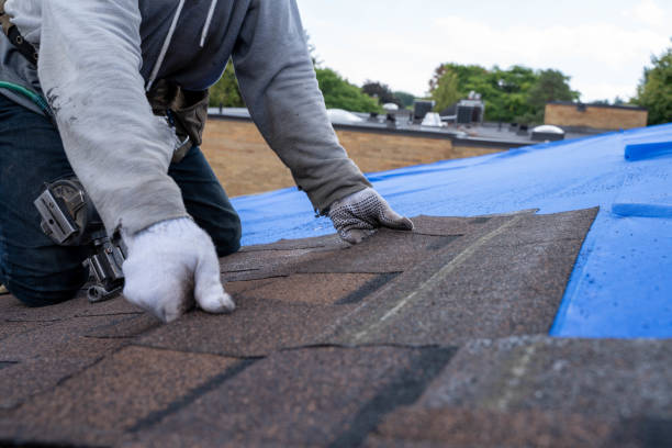 Best Roof Insulation Installation  in Indianola, MS